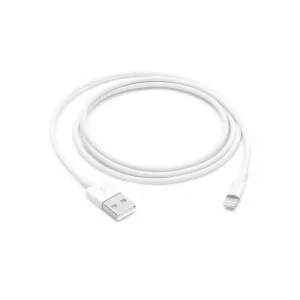 Apple Lightning to USB Cable 1m